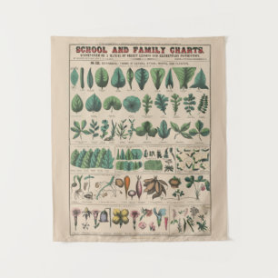 Antique Botanische Schoolkaart Vintage Natuur Wandkleed