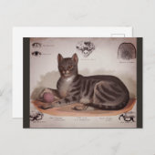 Antique carte (Devant / Derrière)