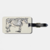 Antique Cow Skeleton Bones Fun Bagagelabel (Achterkant horizontaal)