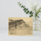 Antique Fire Island Carte postale New York (Debout devant)