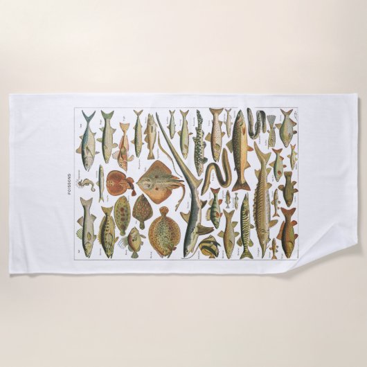 Antique fish chart crafter's strandlaken (Voorkant)