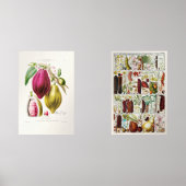 antique　plant　unique (Recto)