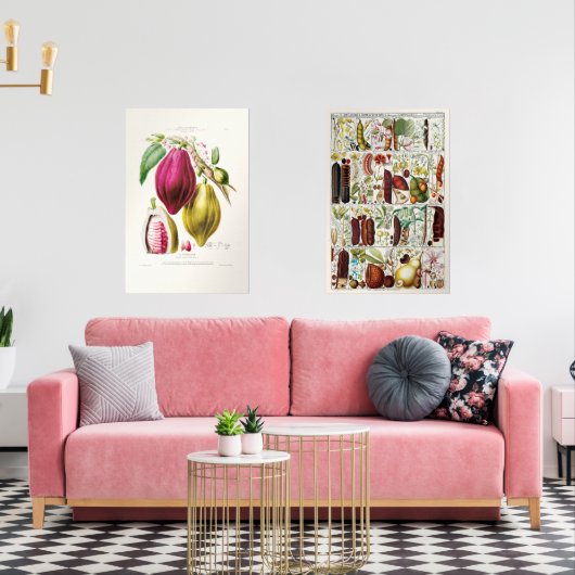 antique plant unique (Salon)