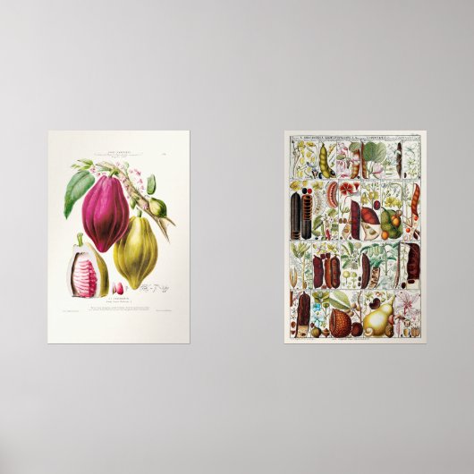 antique　plant　unique muurkunst sets (Voorkant)