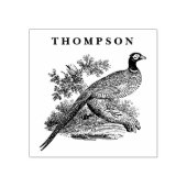 Antique tekening van fazant jachtvogel naam in zwa 	rubberstempel (Afrduk)