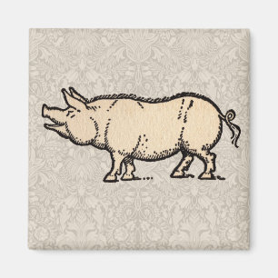 Antique Varken Illustratie Cute Vintage Magneet