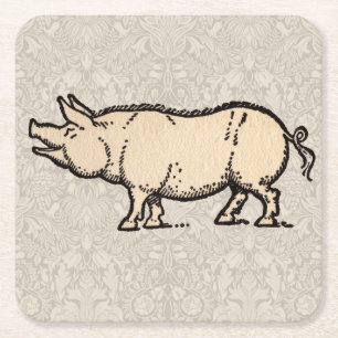 Antique Varken Illustratie Cute Vintage Vierkante Kartonnen Onderzetter