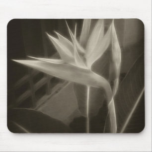 Antiqued Bird of Paradise 10 Muismat