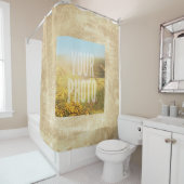 Antiquité convenable BG de modèle de rideau en (En situation)