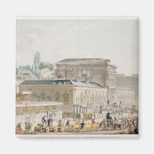 Antiquiteiten gevonden in Herculaneum Magneet