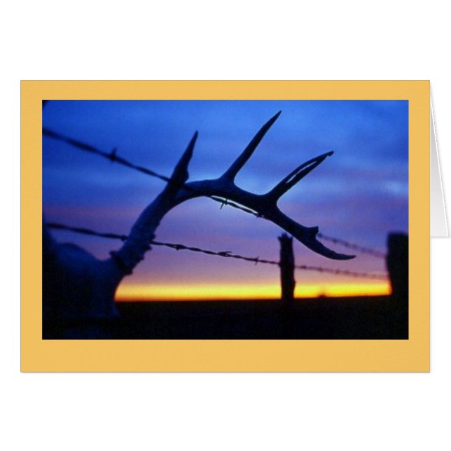 "Antlers #3" (Devant horizontal)