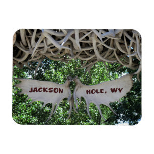 Antlers Arch Jackson Hole, Wyoming Travel Magneet