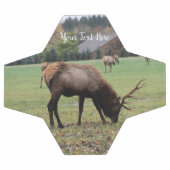 Antlers d'Elk mâle Pâturage en Grass Grass Grass P (Plat)