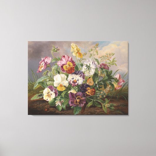 Anton Mollis Pansy Canvas Afdruk (Voorkant)