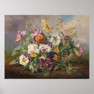 Anton Mollis Pansy Poster