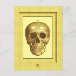 Antque Skull Briefkaart