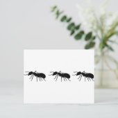 Ants Briefkaart (Staand voorkant)