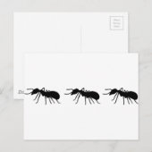 Ants Briefkaart (Voorkant / Achterkant)