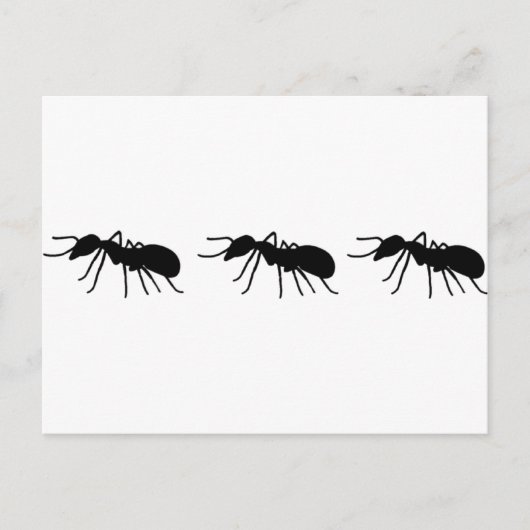 Ants Briefkaart (Voorkant)