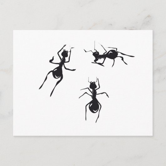 ANTS BRIEFKAART (Voorkant)