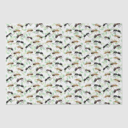 Ants Insects Bugs Creepy Crawly Creats Tissuepapier (Voorkant)