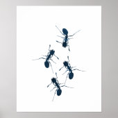 Ants Poster (Voorkant)