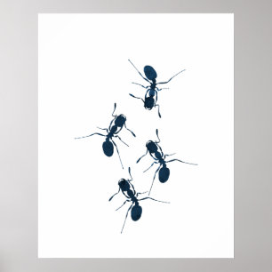 Ants Poster