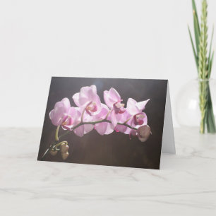 Antwoord op Gebed Kaart