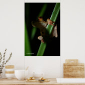 Anura_2 Poster (Keuken)
