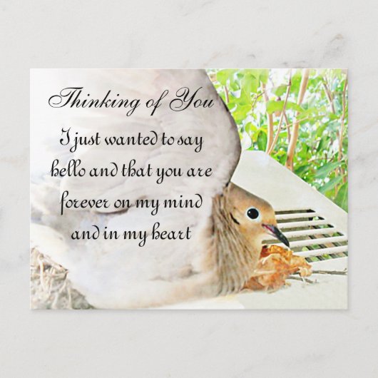 AnyOccasions_ Briefkaart (Voorkant)