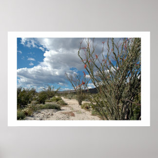 Anza Borrego - de bloom Poster