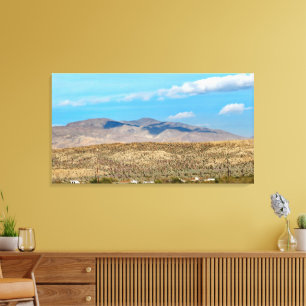 Anza Borrego Desert State Park Canvas Afdruk