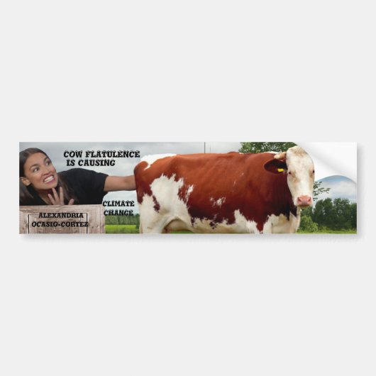 AOC-KLIMAATVERANDERING BUMPERSTICKER (Voorkant)