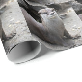 Aonyx cinerea cadeaupapier (Rol Hoek)