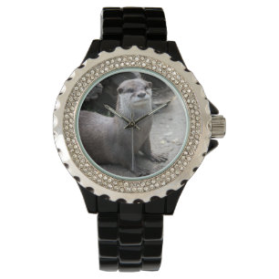 Aonyx cinerea horloge
