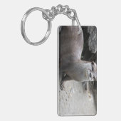 Aonyx cinerea sleutelhanger (Voorkant Links)