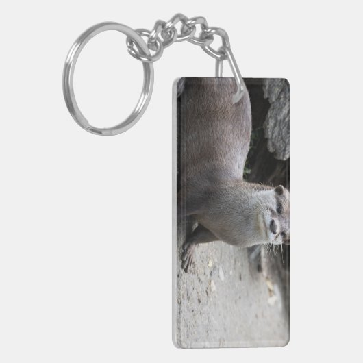 Aonyx cinerea sleutelhanger (Voorkant Links)