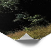 Aoraki in de vallei poster (Hoek)