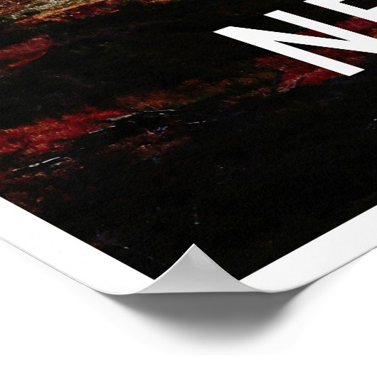 Aoraki New Zealand Travel Poster (Hoek)