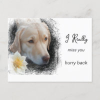 *~ AP61 Droog Korte Haren Hond Bloem Mis Je