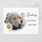 *~* AP61 Goede Vibes Lab Retriever Bloem Briefkaart (Voorkant)