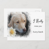 *~ AP61 Treurig Hondje Met Kort Haar Bloem Ik Mis Briefkaart (Voorkant / Achterkant)