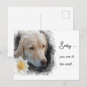 *~  AP61 Verdrietige kort haar Hond Bloem Ziek Bli Briefkaart (Voorkant / Achterkant)