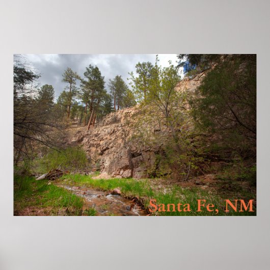 Apache Canyon, Santa Fe National Forest, NM Poster (Voorkant)