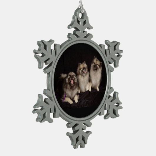 Apache indique un ornement de flocon de neige (Gauche)