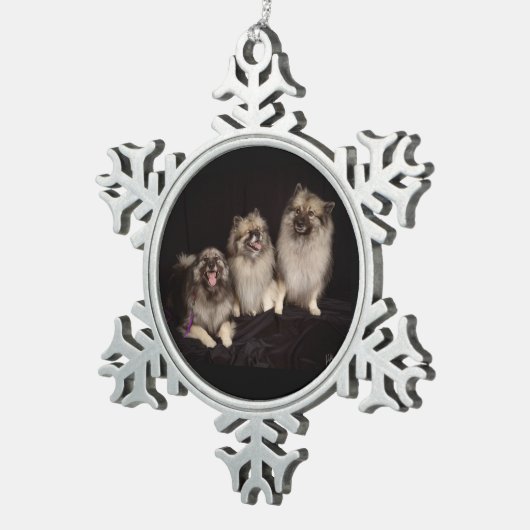 Apache indique un ornement de flocon de neige (Vue impression)