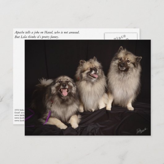 Apache raconte une carte postale de plaisanterie (Devant / Derrière)