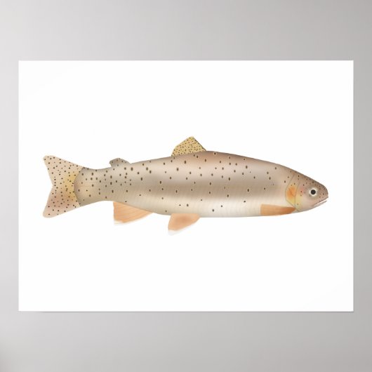 Apache Trout Poster (Voorkant)