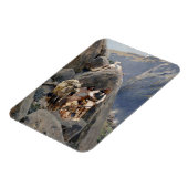 Apache Warriors: hinderlaag voor Amerikaanse caval Magneet (Linkerzijde)