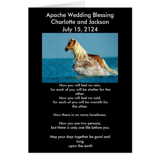 Apache Wedding Blessing Arabian volbred horse (Voorkant)